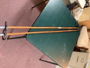 lot 333 image: ski poles