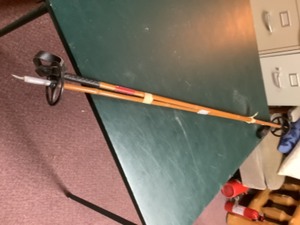 lot 334 image: ski poles