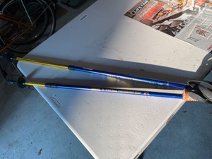 lot 609 image: cabelas walking sticks adjustable