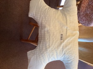 lot 183 image: Therapeutic PillowSupport