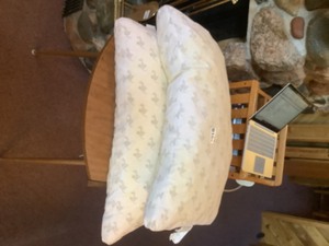 lot 182 image: 2 My Pillow(s)
