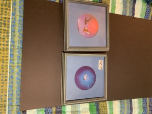 lot 217 image: 2 framed bird pictures