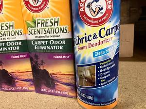 Arm & Hammer Carpet Cleaner