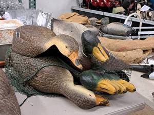 lot 300 image: (6) Male and (6) Female Duck Decoys