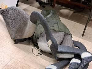 lot 301 image: Lot of (5) Plastic Goose Decoys