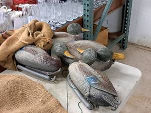 lot 303 image: Lot of (4) Plastic Duck Decoys