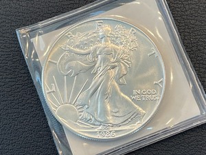 lot 105 image: 1986 Silver Eagle