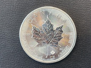 lot 111 image: 2015 Canadian $5 Dollar Coin 1 Ounce .999 Fine Silver