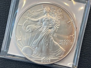 lot 2 image: 2003 Silver Eagle