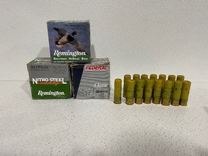 20 Gauge Shotgun Shells