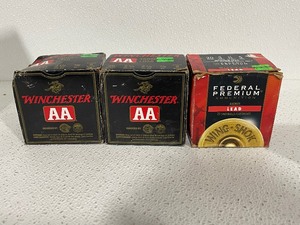 20 Gauge Shotgun Shells