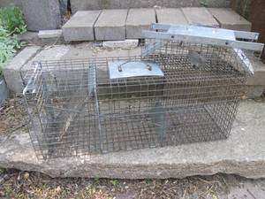 (K) 2 Havahart Live Traps 32 and 1...