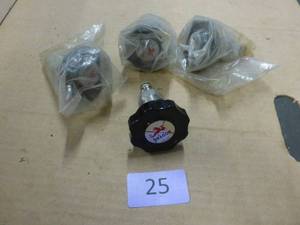 lot 25 image: 4 New Dragon valves