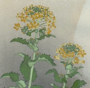 lot 39 image: Fine Floral Print