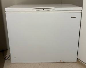 lot 81 image: Kenmore Freezer