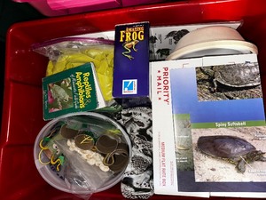lot 397 image: STEM Craft Supplies and Art Kits - Turtle, Reptiles, Frogs, etc