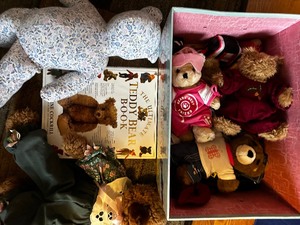 lot 91 image: Plush Teddy Bears, And The Ultimate Teddy Bear Book