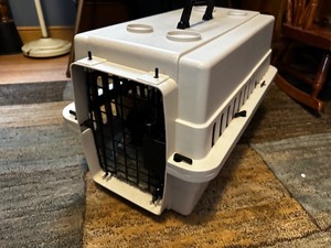 lot 100 image: Small Pet Carrier Filled With Plush Toys