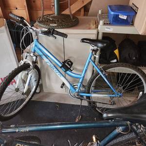 lot 440 image: Two Bikes Mens and Womens Bikes