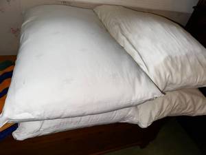 lot 150 image: Brand New Ralph LaurenMy Pillow Pillows Set Of 4 And Never Used Vintage Beach Towel Made In Portugal