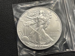 lot 76 image: 2024 Silver Eagle