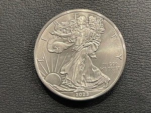 lot 171 image: 2023 American Eagle .999 Titanium