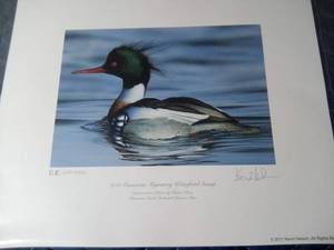 lot 138 image: 2011 Ducks Unlimited MN Migrating Waterfall Stamp signed print-21514500