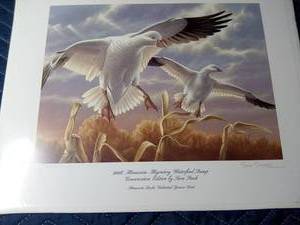 lot 139 image: 2008 MN Ducks Unlimited Migrating Stamp sponsored signed print-20185000