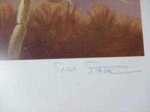lot 135 image: 2008 Migrating Waterfall stamp signed framed print-20285000