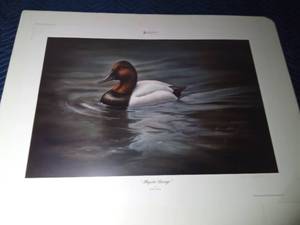 lot 259 image: 2007 MN Ducks Unlimited (Majestic Passage) signed sponsor print by Bonnie Lathom 6995000