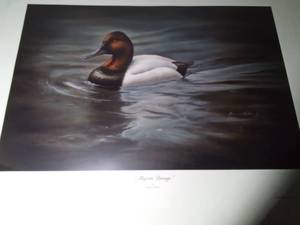 lot 261 image: 2007 MN Ducks Unlimited (Majestic Passage) signed sponsored print by Bonnie Lathom 6995000