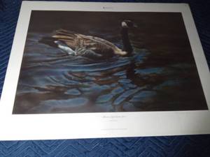 lot 260 image: 2006 MN Ducks Unlimited (Afternoon Light Canada Goose) signed sponsored print by Rebecca Lathom 17725000