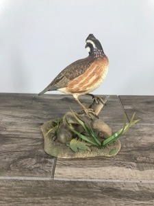 lot 391 image: Northern Bob White Sculpture Figurine by Jan Fitch