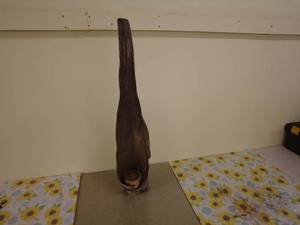 lot 34 image: Rustic Wooden Sculpture