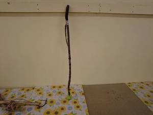 lot 38 image: Vintage Wooden Walking Stick