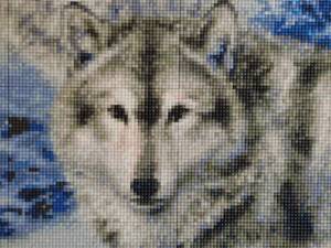 lot 155 image: Wolf art framed