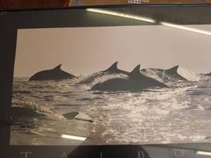 lot 159 image: Talbot Framed Dolphin Print