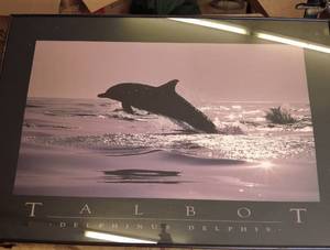 lot 160 image: Talbot Delphinus Delphis Dolphin Poster in Frame