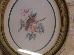 lot 166 image: Lot of 3 Framed Bird Prints