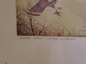lot 167 image: Framed Wildlife Print Ruffed Grouse (Winter-Minnesota)