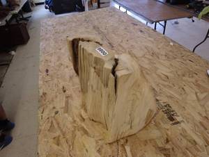 lot 86 image: Unique Piece of Driftwood