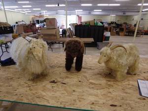 lot 100 image: set of 3 Decorative Sheep