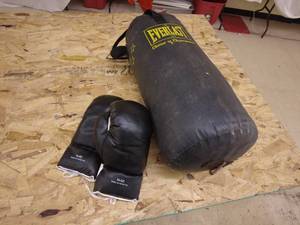 lot 238 image: Punching Bag & Gloves