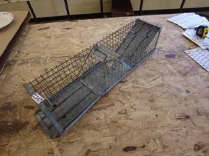 lot 347 image: Live trap