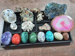 Stone Eggs, Shells, Petrified Wood, Slabs