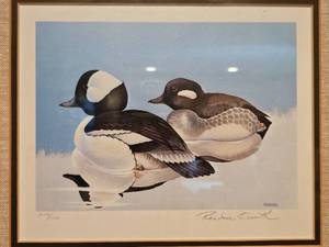 lot 48 image: 19 x 18 Rockne Knuth Signed 1979 Duck Print and Stamp Framed
