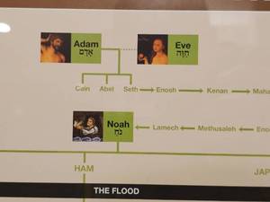 lot 66 image: Old Testament Biblical Family Tree Framed Poster