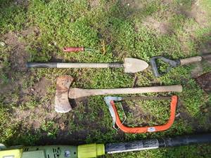 lot 8 image: SunJoe 8 inch electric pole saw and assorted garden tools