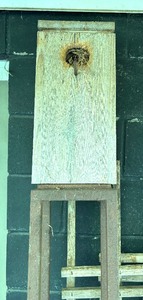 lot 106 image: Fun Yard Decor
