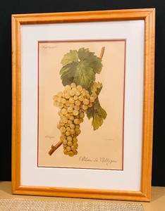 lot 160 image: Vintage Pair of Ampelographic Wall Art